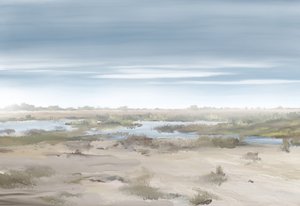Misty Wetland Landscape by Jenna Alheit