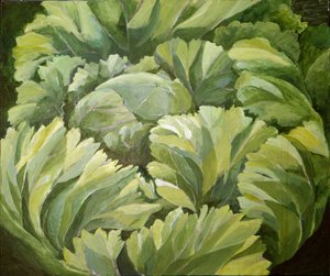 Cabbage, 2013 by Jennifer Abbott