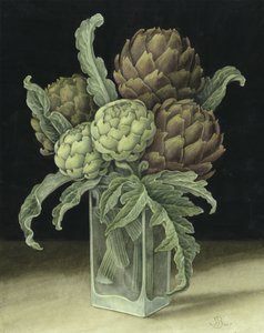 Artichoke