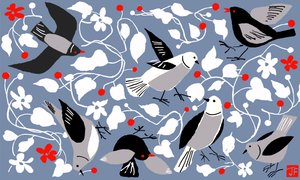 Birdy by Jenny Frean