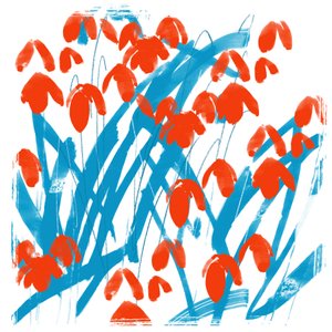 Red Snowdrops