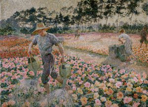 The Begonias (The Gardener)