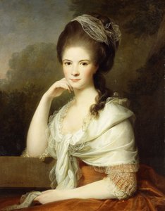 Portrait of a Lady, Seated Half-Length, Wearing a Brown Dress and a White Shawl by Jens Juel