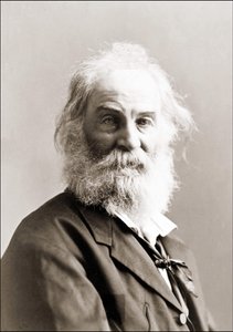 Portrait of Walt Whitman by Gurney Between 1880 and 1890
