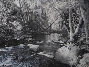 Riverscapes, 2024 by Jerome Glomaud