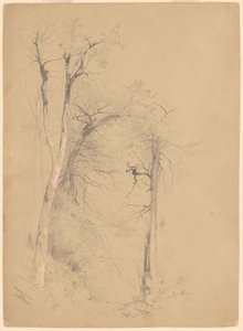 Kauterskill Clove by Jervis McEntee