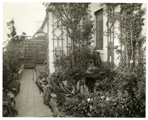 Garden of Mrs Regina Jais, c.1936-37