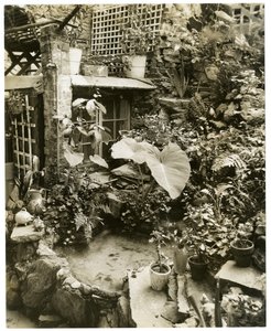 Pool showing terrace Home of George and Mary Stonehill, Greenwich Village, New York, USA, c.1936-37 by Jessie Tarbox Beals