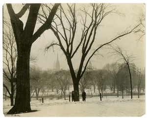 The Common, Boston, USA, c.1902-10