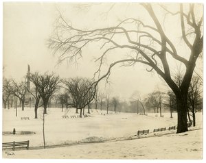 The Common, Boston, USA, c.1902-10 by Jessie Tarbox Beals