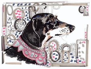 Lacey The Dachshund