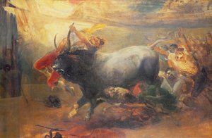 The Bullfight