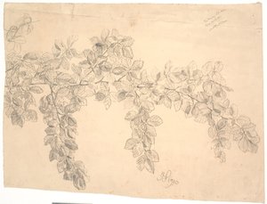 Study of Beech Branch by Joakim Frederik Skovgaard