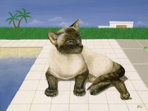 Siamese Cat by a Swimming Pool by Joan Freestone