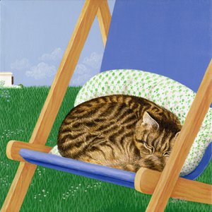 Tabby Cat Asleep in a Deck Chair by Joan Freestone