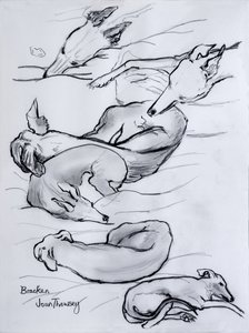 Bracken, the Whippet by Joan Thewsey