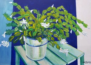 Christmas Cactus by Joan Thewsey