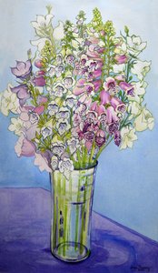 Foxgloves and Campanulas