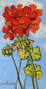 Geranium Spray by Joan Thewsey