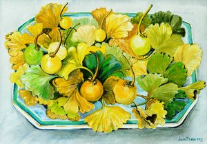 Ginkgo, Fruit and Leaves