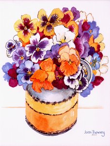 Pansies in a Midwinter Jug