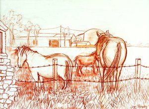 Serenade, Janie and a Donkey in the Meadow by Joan Thewsey
