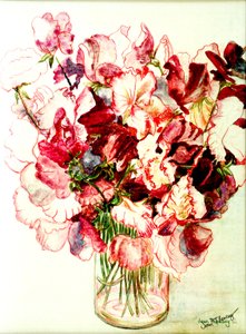 Sweet Peas, 2005