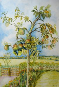The Apple Tree, 2001