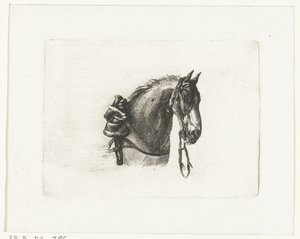 Horse Head to the Right