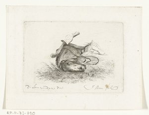 Horse Head of a Lying Horse (series title: Horse Heads after Dirk Langendijk) by Joannes Bemme