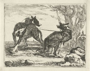 Two Dogs (Dogs) by Joannes Fijt