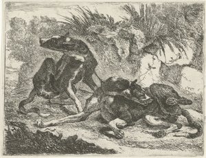 Two Dogs by Joannes Fijt