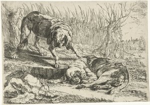 Two dogs, Dogs (series title) by Joannes Fijt