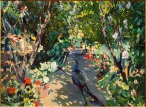 Garden of Casa Mir