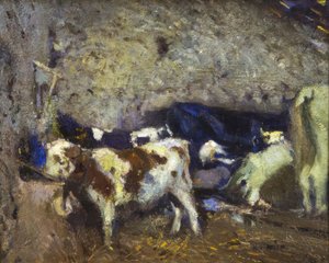 Cows