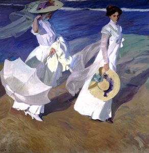 Walk by the Sea