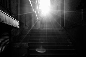 Upward Towards Light by Jochen Bongaerts