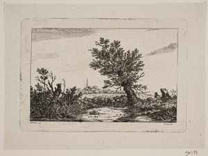 Landscape
