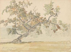 Old Oak by Johan Christian Dahl