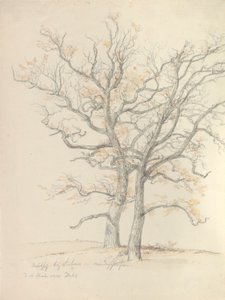 Two oaks by Johan Christian Dahl