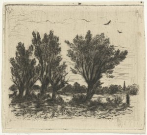 Row of Willows by Johan Frederik Croockewit