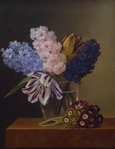 Tulips, Hyacinths and Violets