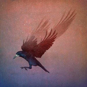 Bird Kingdom by Johan Lilja