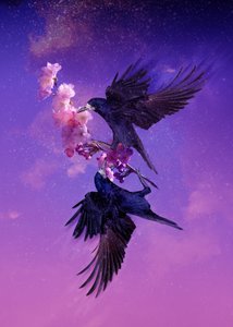 Bird Kingdom 5