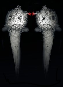 Brothers by Johan Lilja