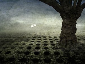 Empty holes, 2014