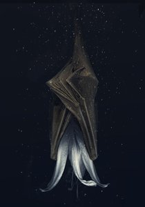 Mutated Lily by Johan Lilja