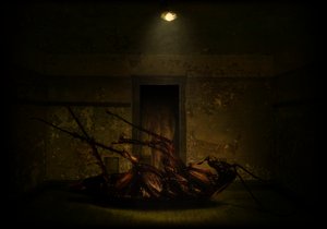 The transformation by Johan Lilja