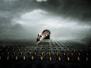 Tulip thief 2