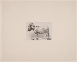 A Donkey Tormented by Flies